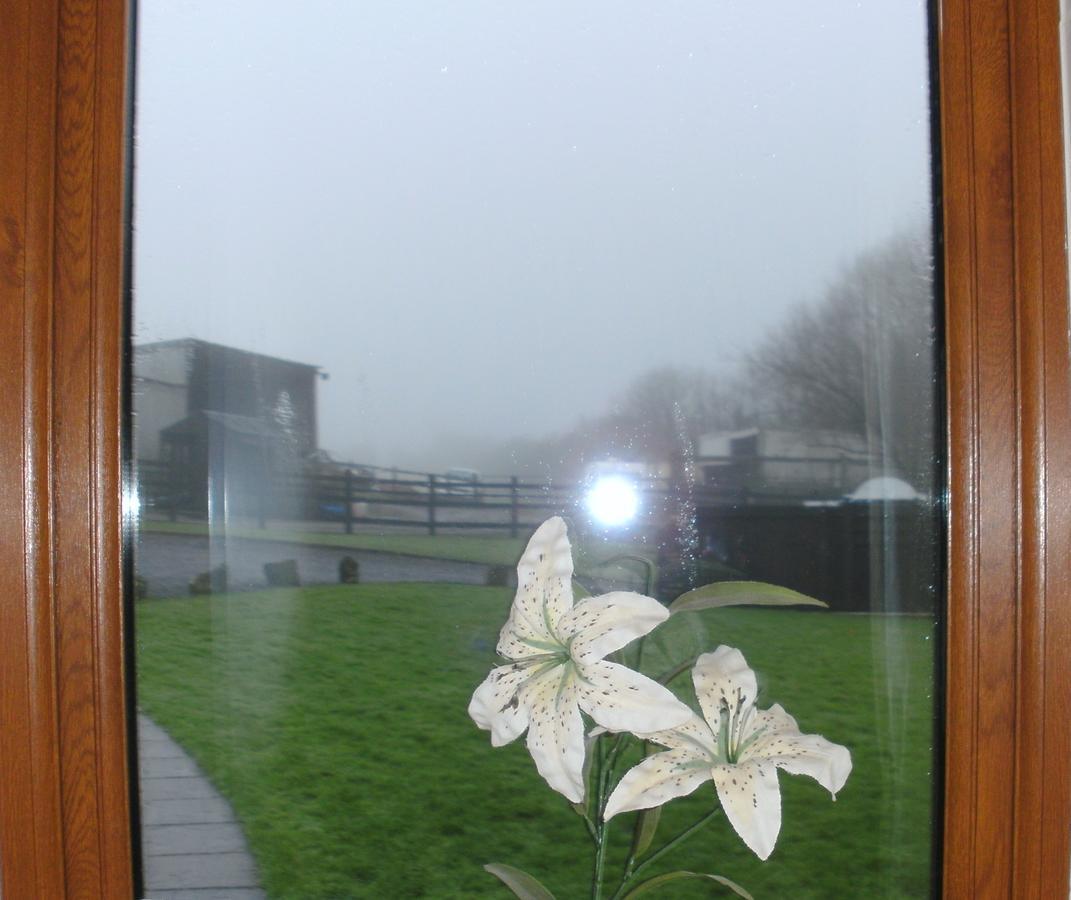 Bed and Breakfast Beudy Bach Cross Hands Exterior foto